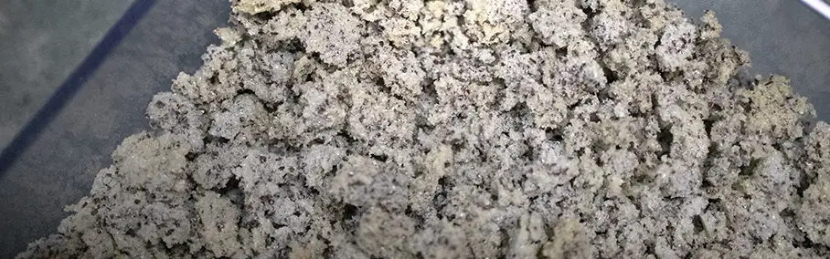 Sponge abrasives