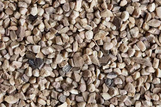 Walnut Shell