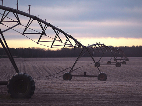 Food &amp; Agriculture